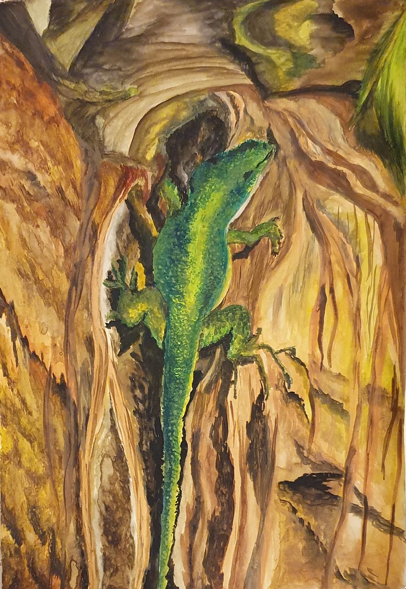 VKacergiene's tweet photo. Vaida free art. A cute lizard in the sunshine. Watercolor on paper A4.
#art #paintings #artwork #watercolor #illustration #Illustrator #artist #painter ž https://t.co/O9tLmAVBXI