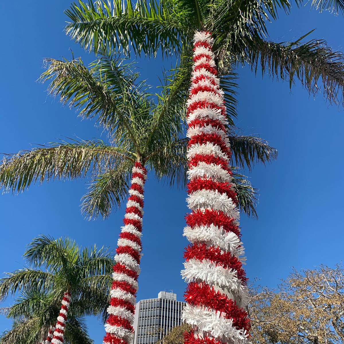 St. Pete loves to decorate for the holidays, and we love to show it off! Get into the Christmas spirit by joining us for our upcoming tour of Downtown on the 13th at 11AM.

#thingstodostpete #thingstodostpetebeach #buybeachesfirst #carfreestpete #stpeterising #stpeteisawesome
