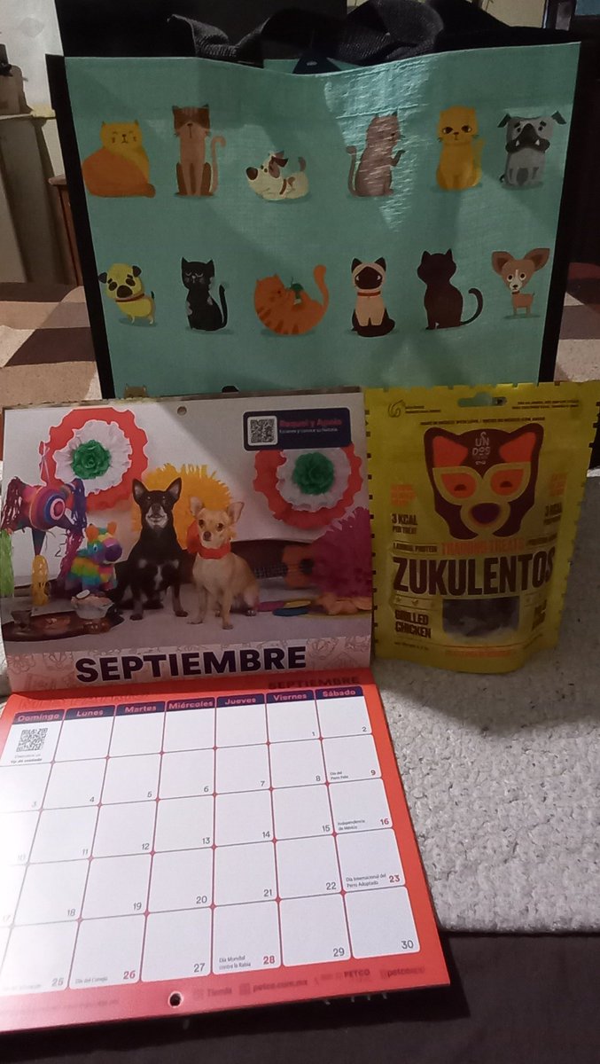 DANFANPANDA's tweet photo. Gran detalle @PetcoMexico https://t.co/JnFXXVSiV7