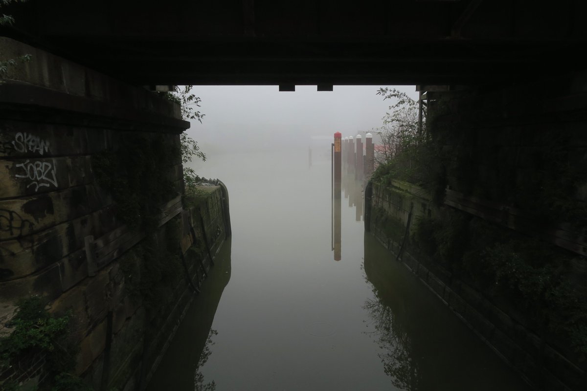 Ian Tokelove tweet media