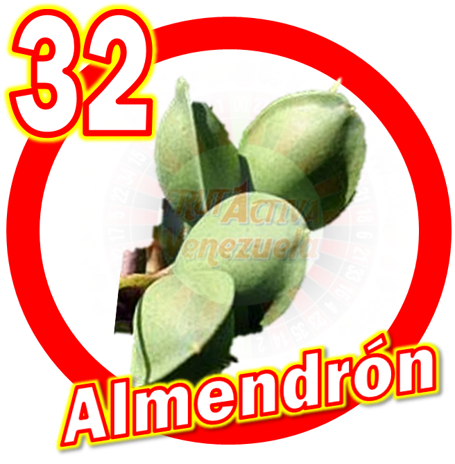 FrutActivaVe's tweet photo. Dia: 11-12-2022
@FrutActicaVe
Sorteo: 5753
Hora: 6:00pm
Ganador: 32
Color: Rojo
Fruta: #Almendron
#ElJuegodelasFrutasEnVenezuela
#FelizNavidad2022-2023 https://t.co/chAVTDCBmb