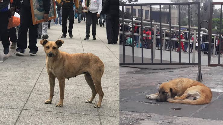 karamelix's tweet photo. @HnoAxel También hay que ser solidarios ante sus irresponsabilidades?, no es de una vez ,siempre lo hacen . https://t.co/lMHmnwfF7n