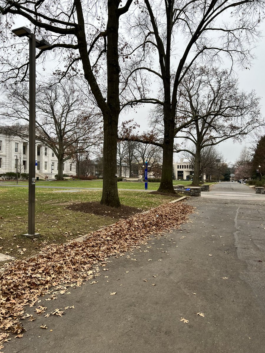 AndrewGrub1's tweet photo. AU’s campus is quieter than usual today, and the intermittent rain and wind coupled with the low temperatures make for the perfect stay-inside-and-study-for-finals weather. Exam week starts tomorrow— Good luck, everyone. #FallFinals https://t.co/BOHrMMa28E