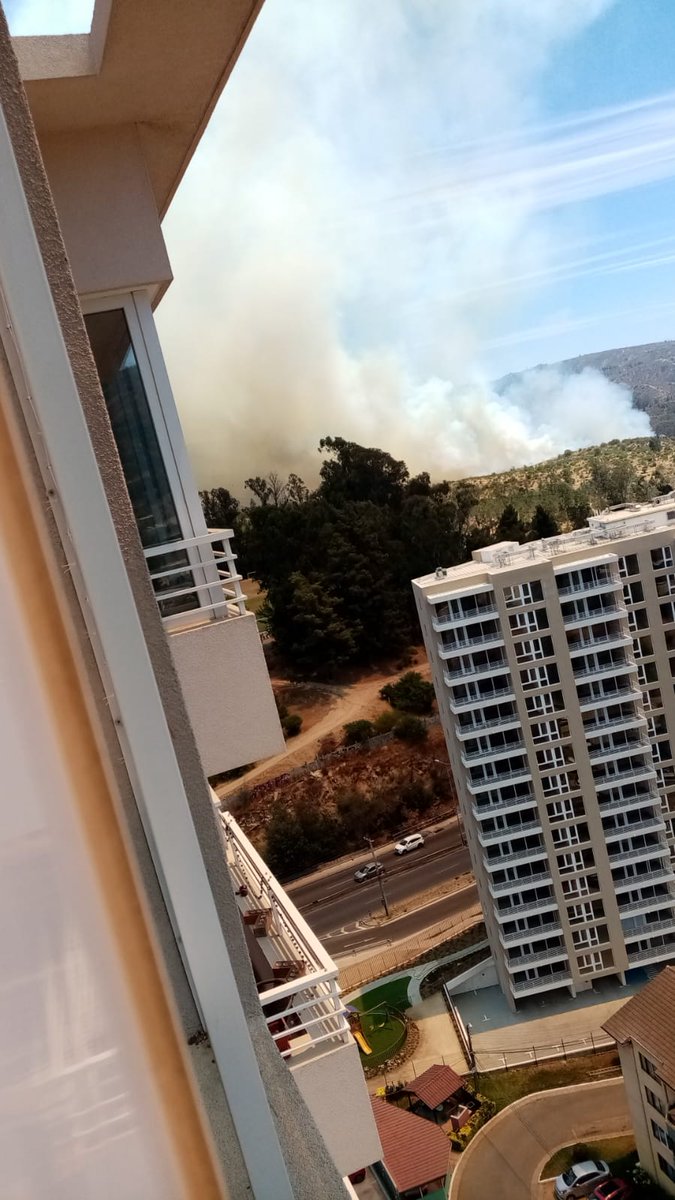 flxmaximoff's tweet photo. Incendio en quilpue/viña cerca de la usm https://t.co/nZhU0E5r0U