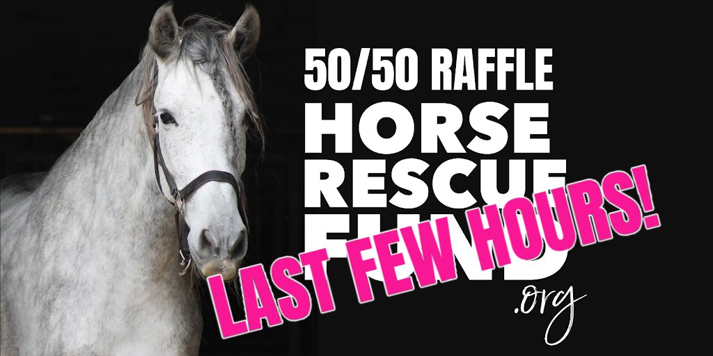 #alberta #horse lovers - last chance - 50/50 Cash Jackpot Raffle in aid of @horse_fund  Tickets here: bit.ly/3ErLMkB <==

#horserescuefund #banhorseslaughter #yes2safe #alberta #Yeg @jannarden @KateDrummond_ @pattihorse #horseshit #Horses