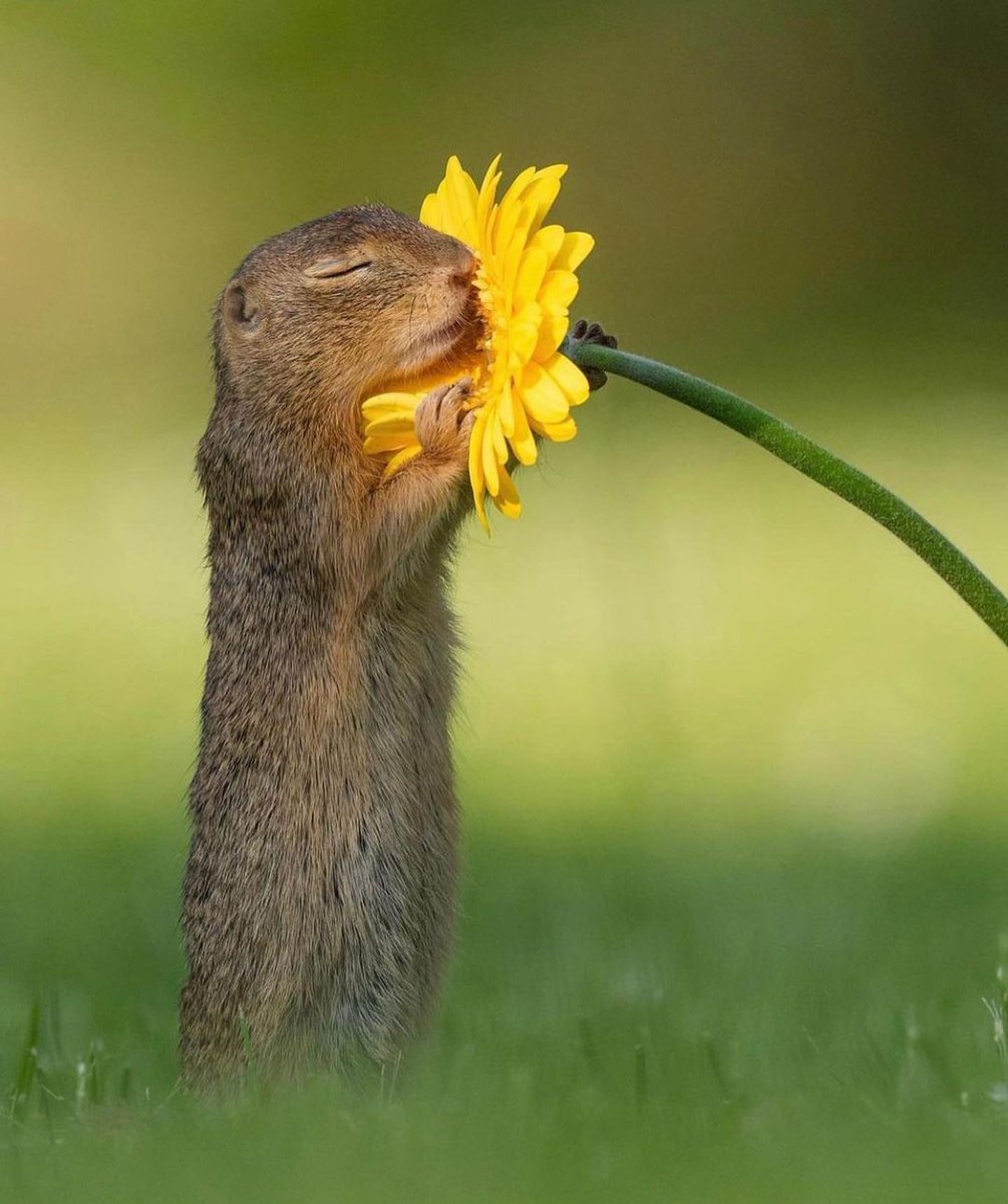 Trendy Seconds tweet media