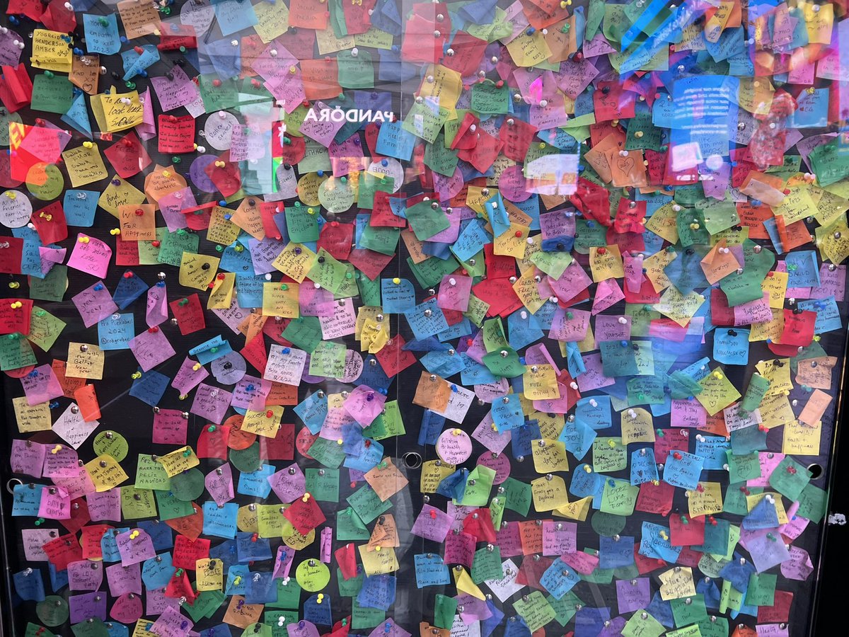 Michelle Kessel tweet media