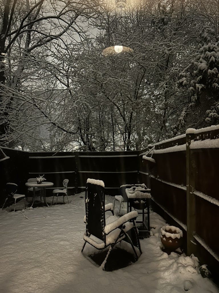 iisgreyy's tweet photo. It is the best day ever when your backyard looks like this. https://t.co/X8pKvUjfcO