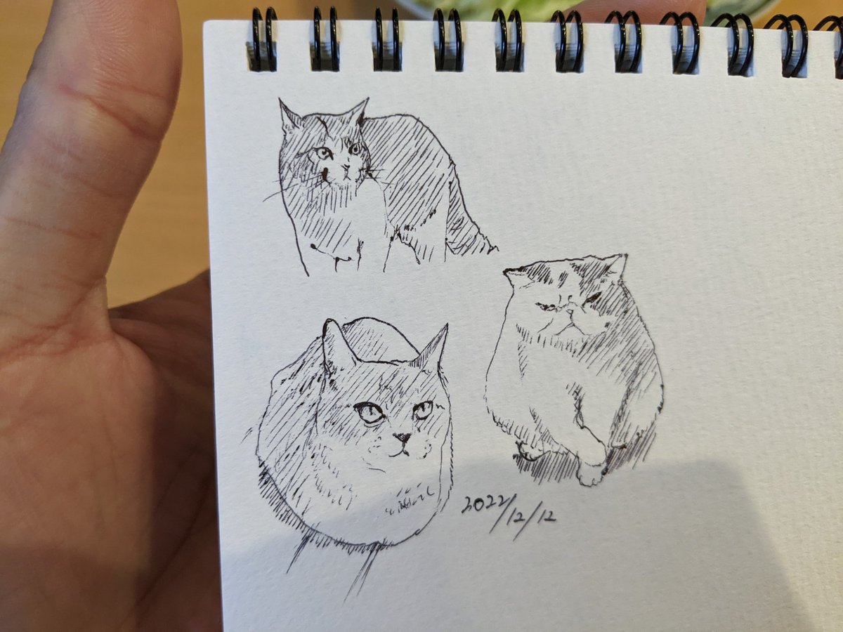 寒寒 カキカキ。 