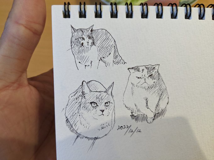 寒寒 カキカキ。 