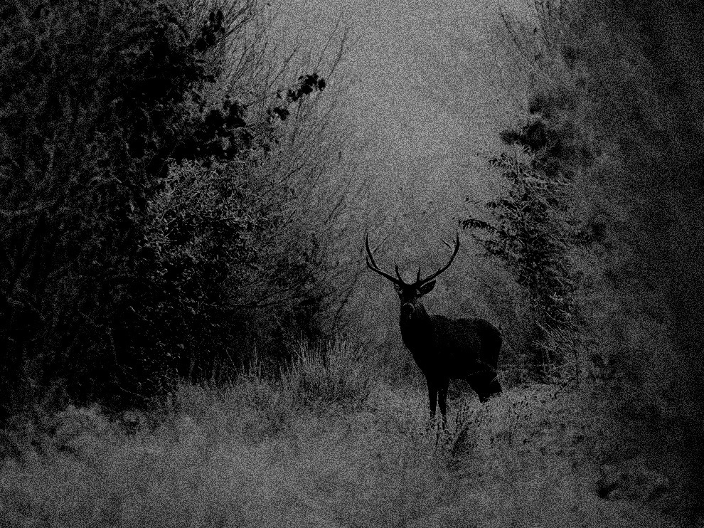 Archillect (@archillect) on Twitter photo 