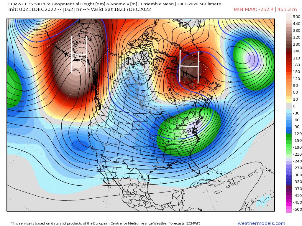 Anthony M tweet media