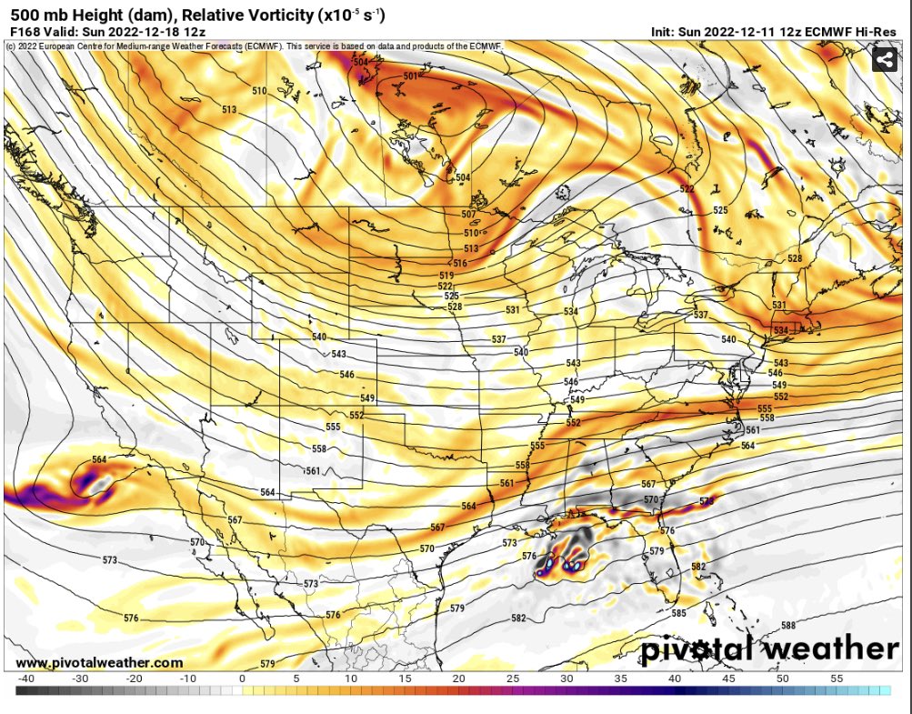 Anthony M tweet media