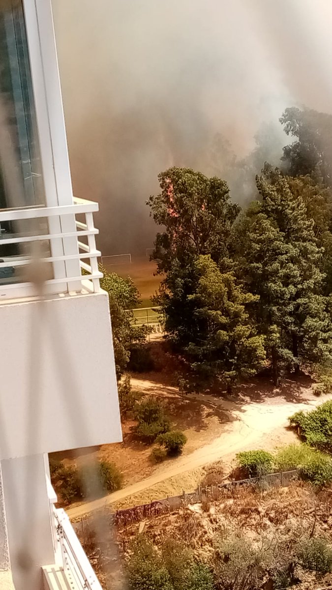 flxmaximoff's tweet photo. @usantamaria de viña en llamas.
incendio
@QuilpueRenovado https://t.co/lypZJbx7t6