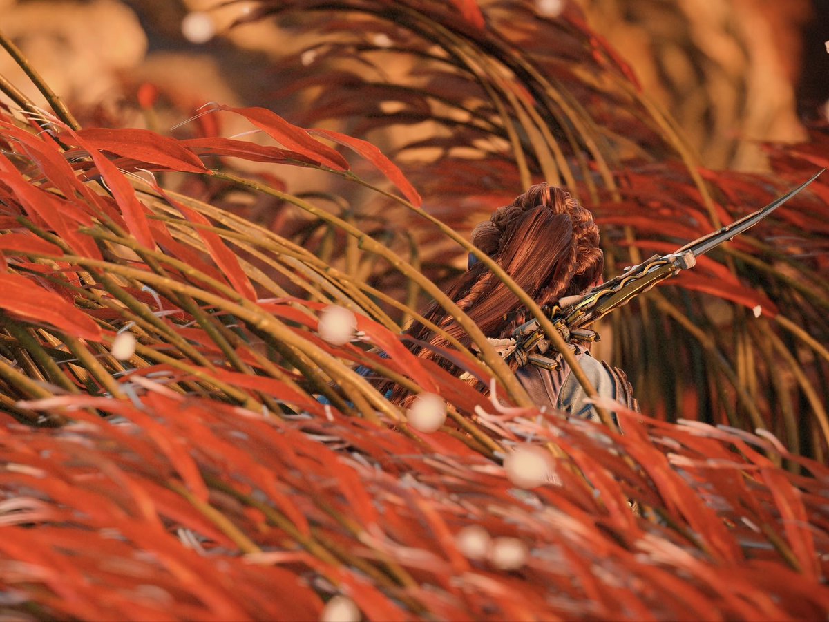 Camouflage
#HorizonForbiddenWest #VirtualPhotography #PhotoMode #ThePhotoMode #WorldofVP #VGPUnite #PS5Share