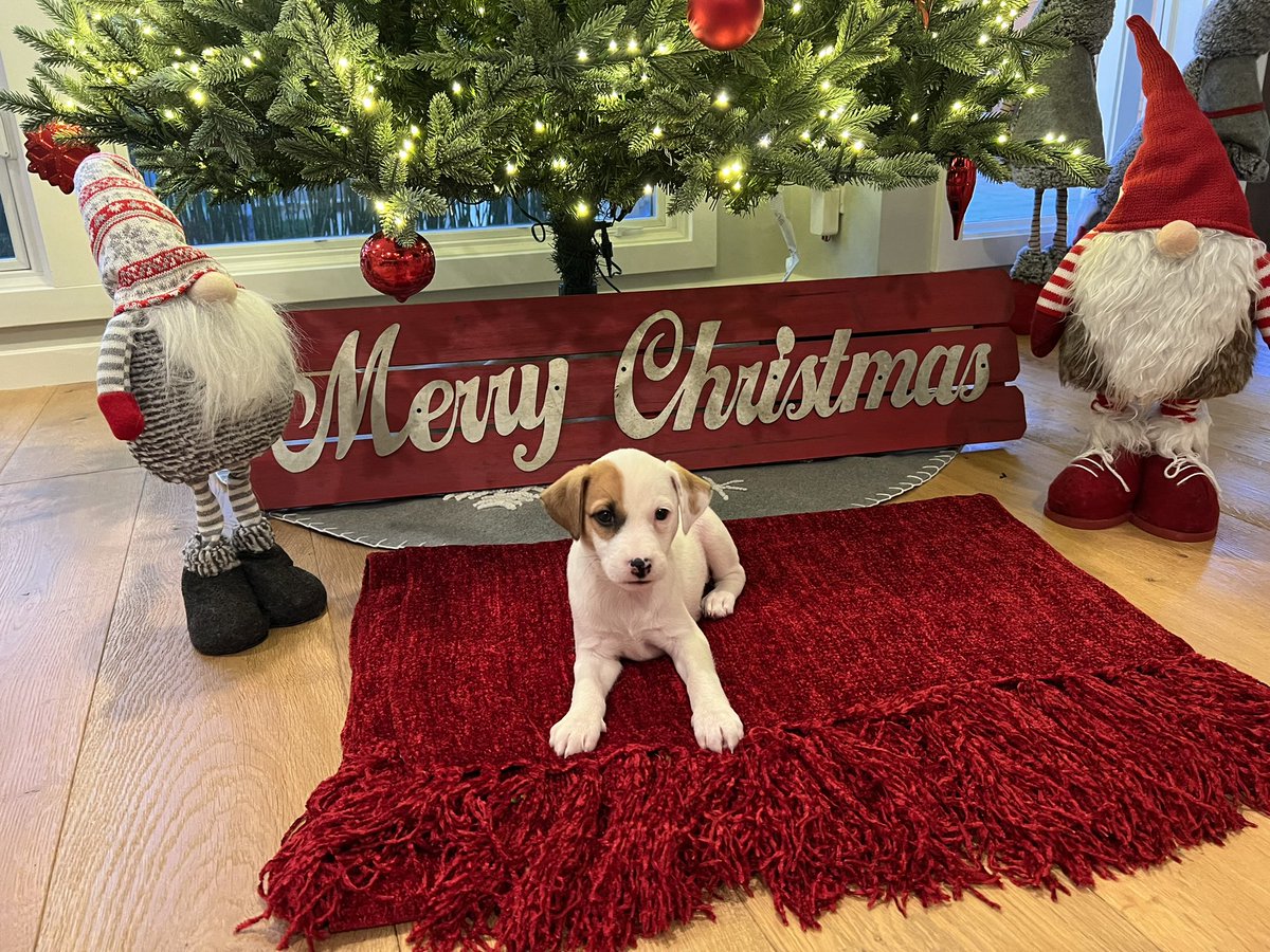 Michele Nagamine tweet media