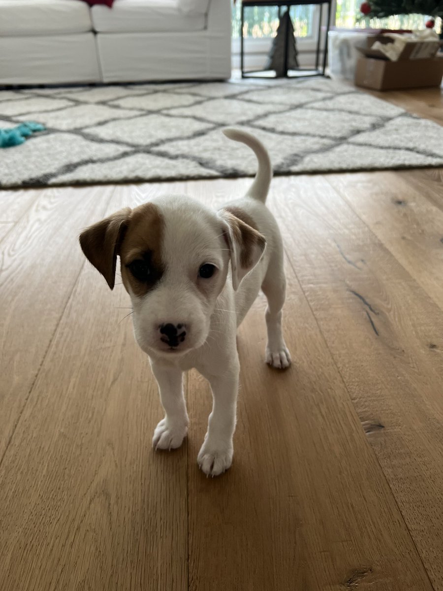 Michele Nagamine tweet media