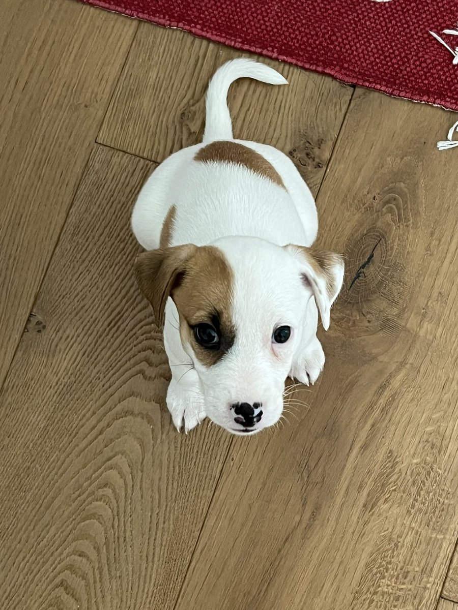 Michele Nagamine tweet media