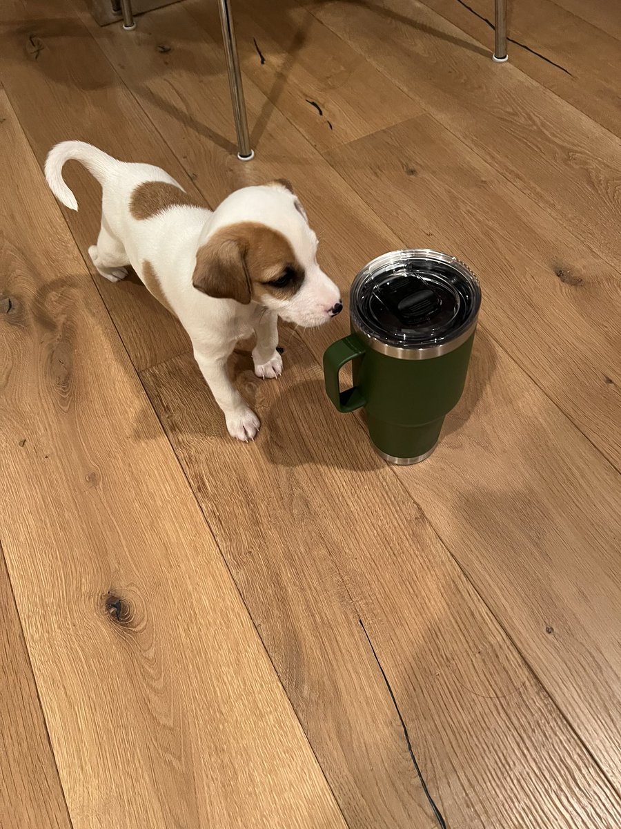 Michele Nagamine tweet media