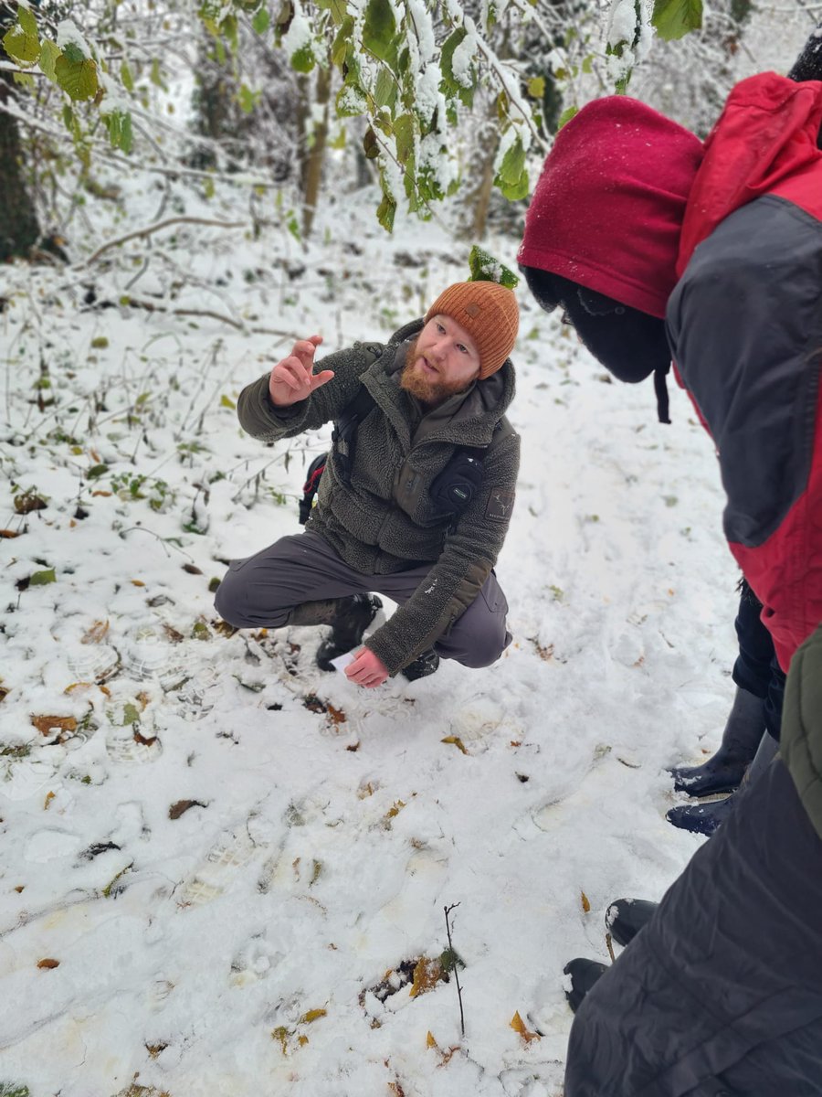 Alastair H-R | Tracker Al tweet media