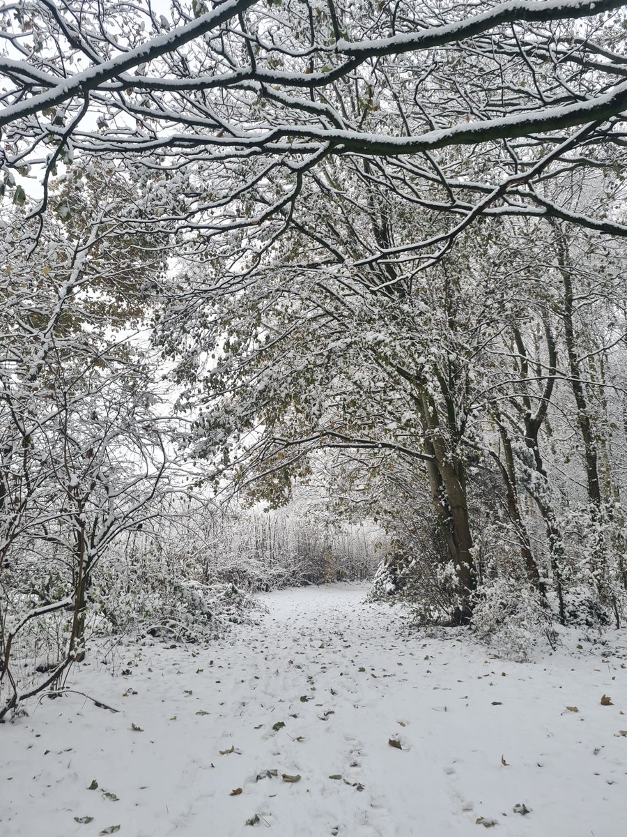 Alastair H-R | Tracker Al tweet media