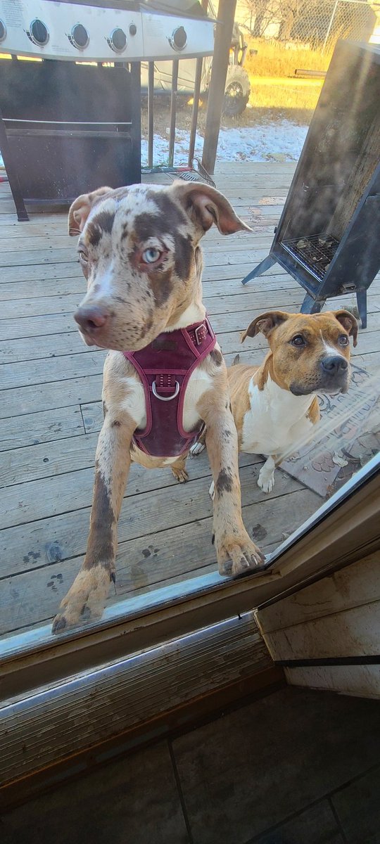 nate_wrenn21's tweet image. You looking at me? Huh?