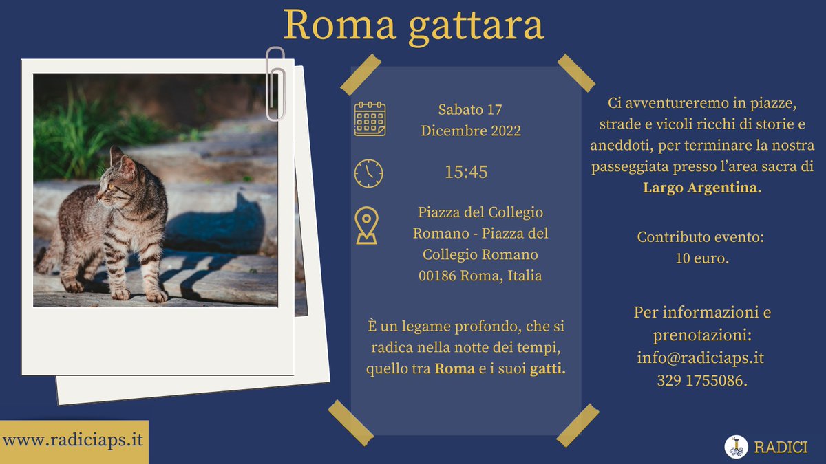Radici è lieta di informarvi che il #17dicembre si terrà Roma gattara, un evento unico nel quale potrete scoprire i luoghi abitati dalle colonie dei gatti a Roma. Per info radiciaps.it 🐈‍⬛ #radiciaps #roma #visite #cultura #esperienze #accessibilità #inclusione