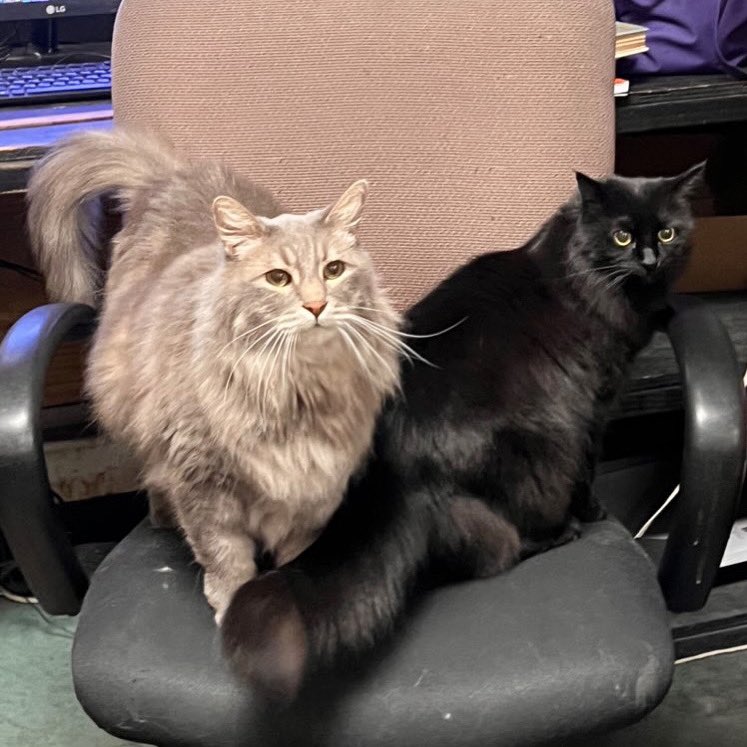 RecycleBook's tweet image. 