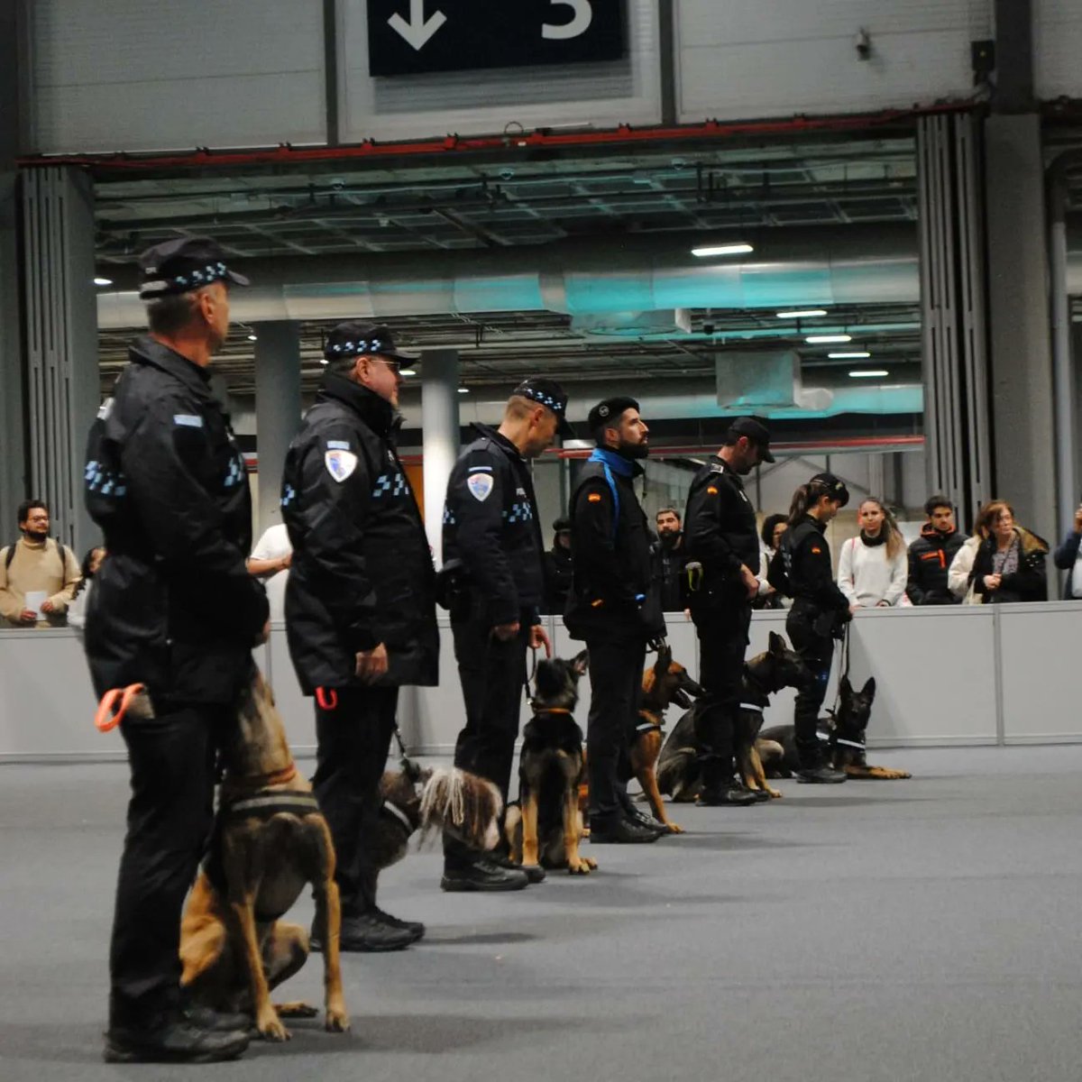 AGCPLE1's tweet photo. Representante de diferentes policรญas locales en 100x100 mascotas
#k9creed #k9shep #k9police #k9officer #k9life #k9police #K9 #k9sam #k9dogshep https://t.co/zCkAR5zHnI