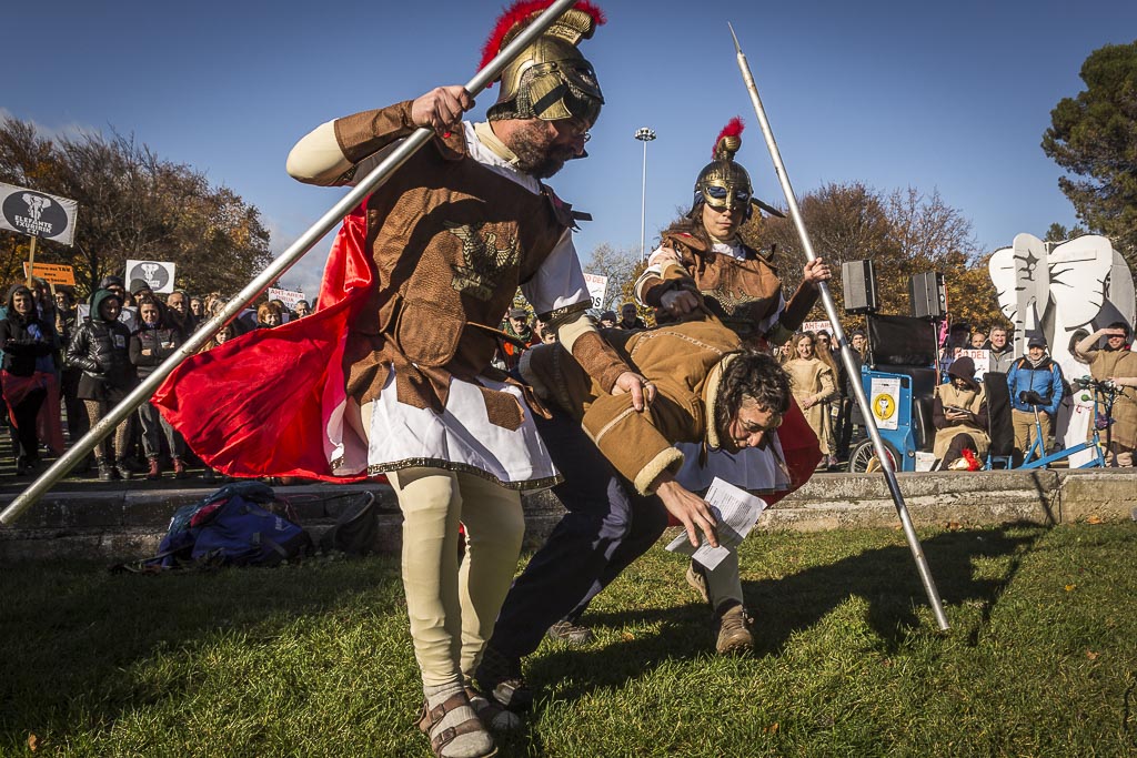 [ARGAZKIAK] #ElefanteTxuria Desfile Romano del elefante blanco ayer en Pompaelum. bit.ly/3FjuZkq #AHTrikEz #NoTAV <a href="/AhoraArdura/">Orain Ardura / Ahora Responsabilidad</a>