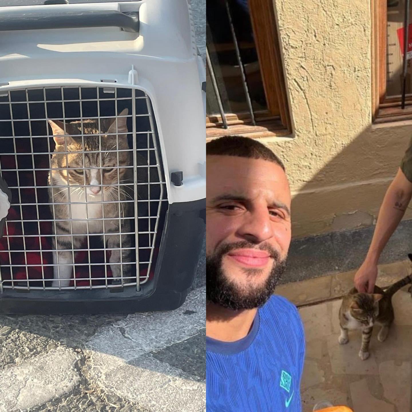 The Away Fans Videos (TheAwayFansVids) / Twitter