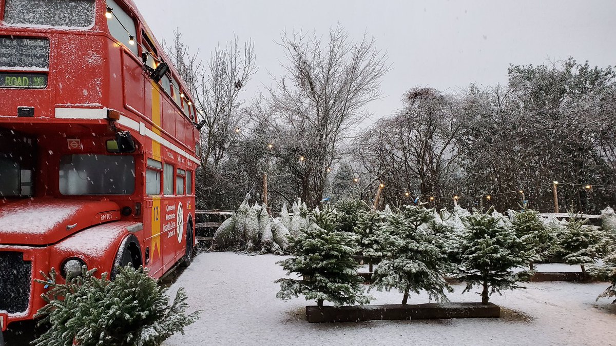 Magical time at Sussex Christmas Trees today - it snowed! <a href="/sussextrees/">Sussex Christmas Trees</a>