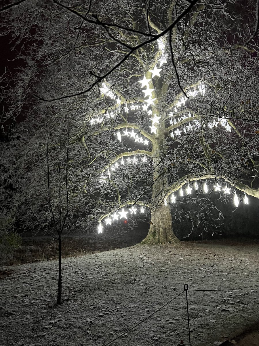 TakisCFD's tweet photo. Really amazing lights at wimpole! #christmasatwimpole @WimpoleEstateNT https://t.co/o9y0hBnH25