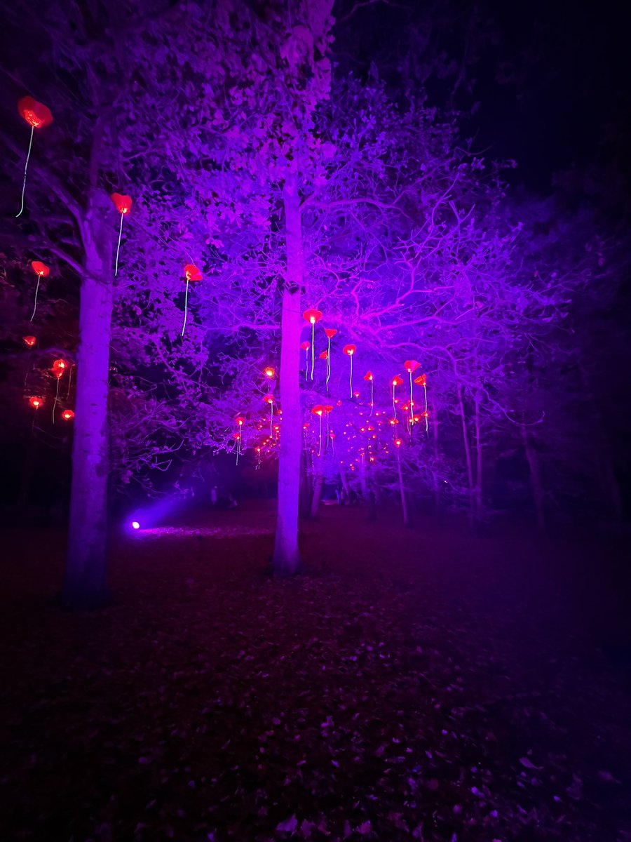Really amazing lights at wimpole! #christmasatwimpole <a href="/WimpoleEstateNT/">Wimpole Estate</a>