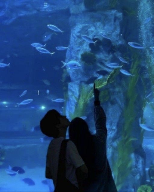 raraluvs's tweet image. aquarium dates ♡