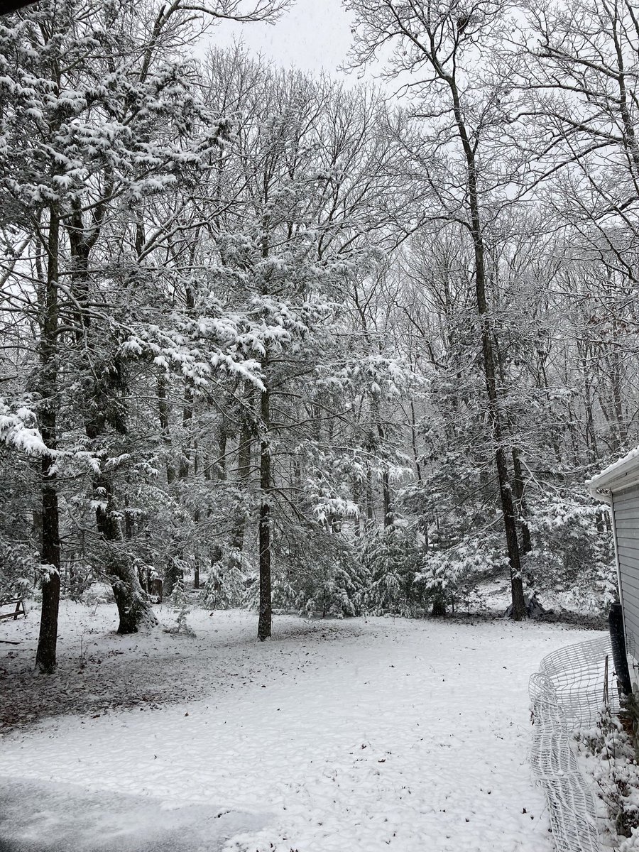 SolBlossom2's tweet photo. Winter is officially here in #HudsonValley #Catskills https://t.co/0qpx9YKq9P