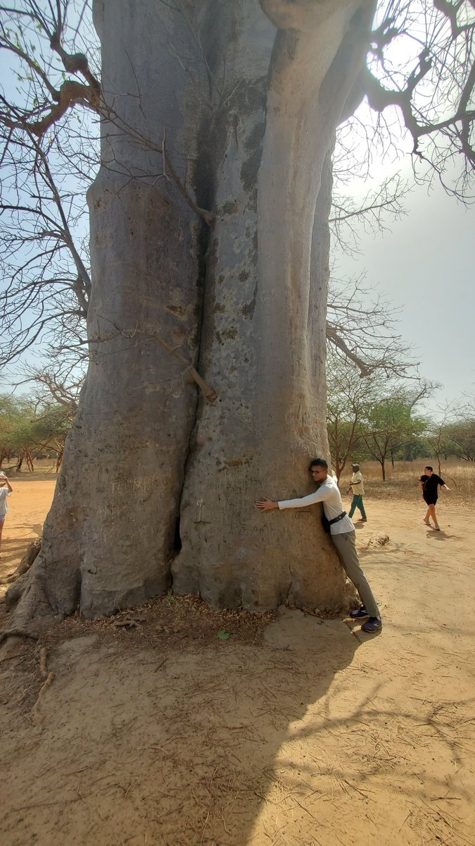 Saeed Saeed tweet media