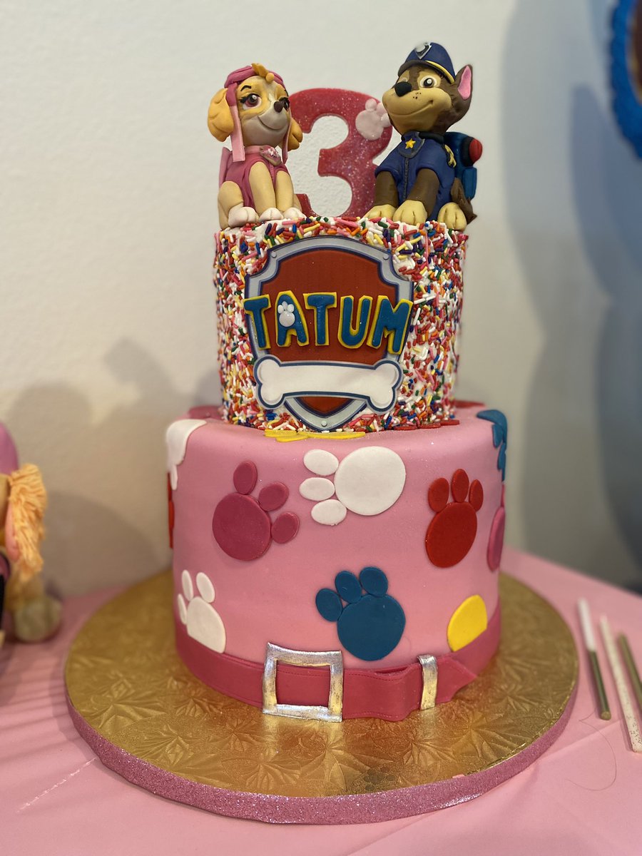 ImSteveMigs's tweet photo. Blown away by our @pawpatrol cake for Tatum’s birthday party! Thanks to my friend @BarbarannKym for making this! https://t.co/7e5iXRTMGu