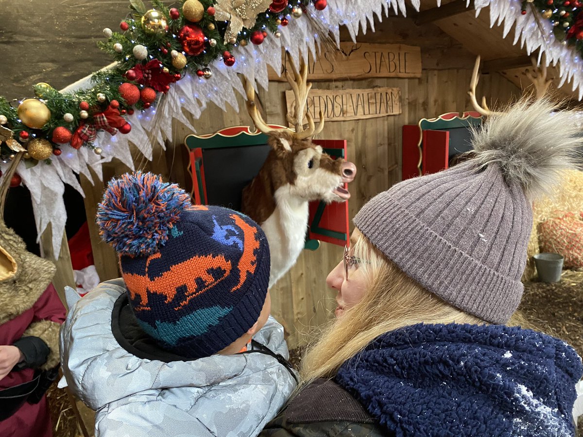 TimLC_'s tweet image. Having ourselves a merry little Christmas