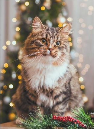 Emily S. Davidson (@esd108) on Twitter photo 