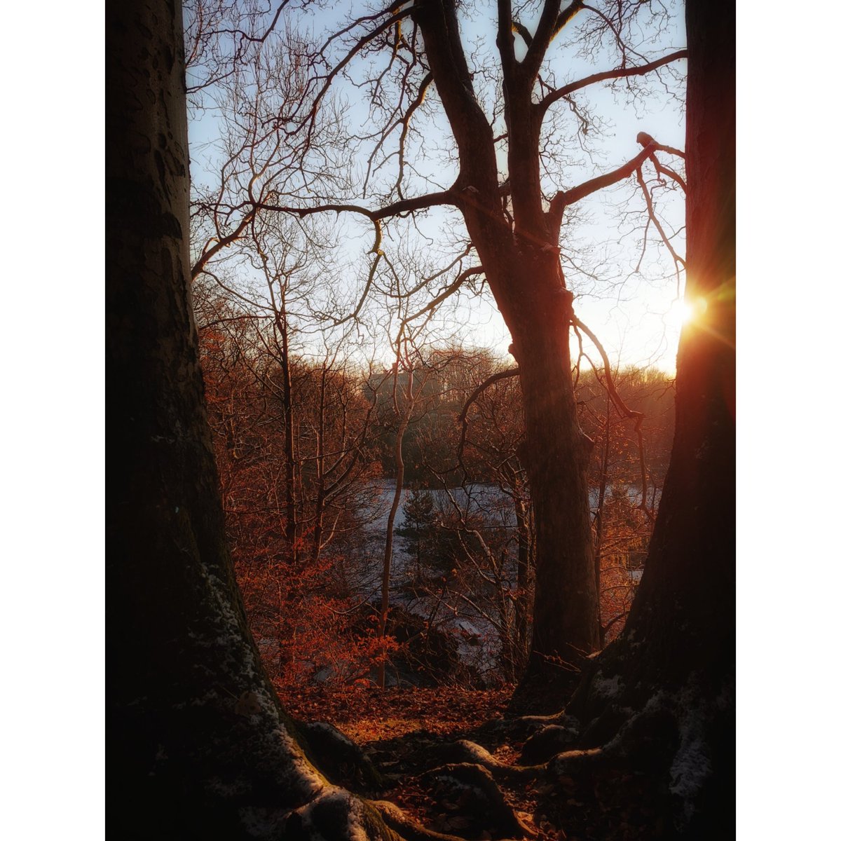 The light was absolutely stunning as I passed the 16th century manor house, Hall i' th' Wood, this afternoon! The first shot is directly outside the front and the second shot is looking towards the house from Eagley woods. <a href="/BoltonLMS/">Libs and Museums</a>
<a href="/boltoncouncil/">Bolton Council</a> <a href="/ThePhotoHour/">#ThePhotoHour</a>
#LocalHistory