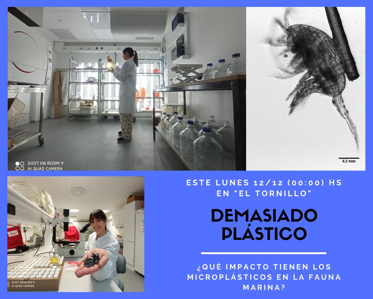 Rocío Rodríguez Torres (Universidad Técnica de Dinamarca) nos trae al programa un tema preocupante. El plástico que producimos en tierra termina en los mares. Nuestra invitada se dedica al estudio del impacto de los denominados microplásticos en la fauna marina. Escuchala hoy!