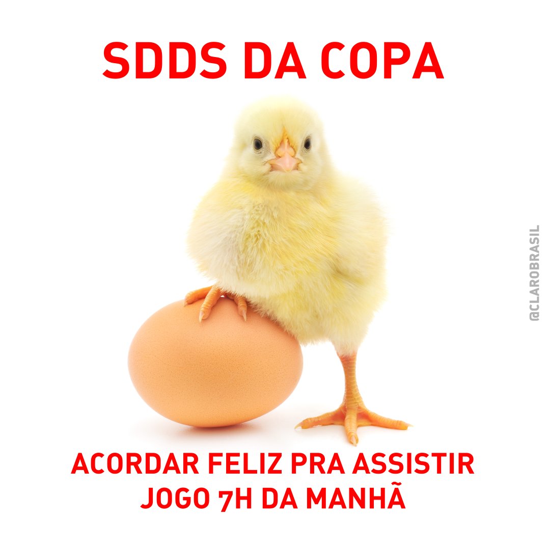 ClaroBrasil's tweet photo. Lembra?
No começo foi assim 🥹💟
#SddsDaCopa
#TáNaClaroTáNaCopa #TôNaTorcida https://t.co/pcKoU9M8Rf