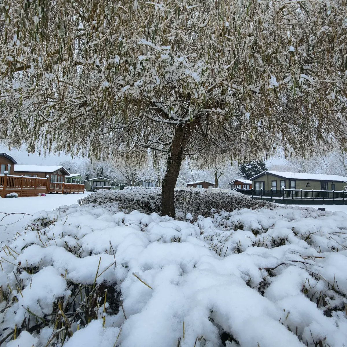 Ranch Caravan Park tweet media