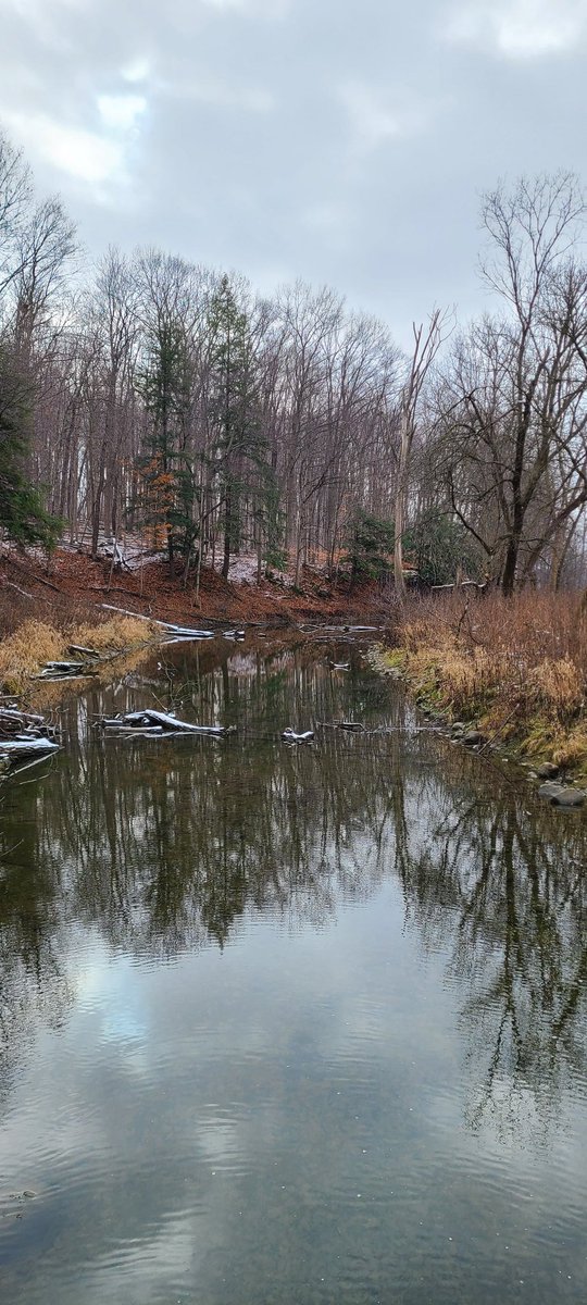 #fanshawelake loop today.  Great day to be out.  Movement is medicine... #halfmarathon #running #Training #rehab #walkjog #trailrunning