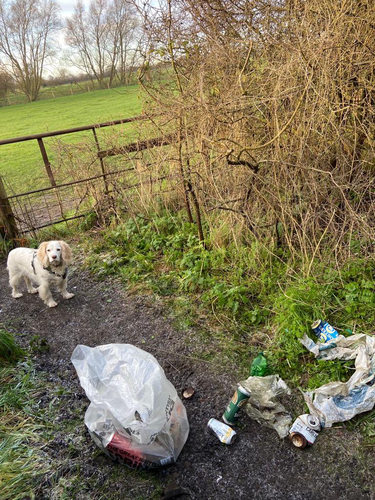 hambletonwomble's tweet photo. #12daysofXmasLitter Day 11
On the eleventh day of Christmas: 
Woo-hoo look at this #wombledog! Tiffy and her human Louise have collected this litter from the path in the back field at Brompton. Nice one!
#litterlegends 
#litterheroes #cleanerhambleton 
@KeepBritainTidy https://t.co/buHP1OfHYj