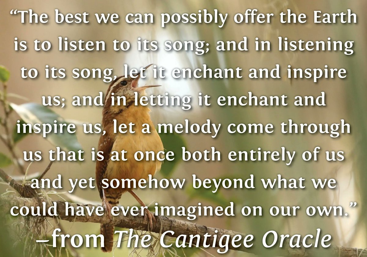 BanyenBooks's tweet photo. The Cantigee Oracle:
https://t.co/uJMW1H19ZK
Photo by Ryk Naves
#DailyInspiration #CantigeeOracle #RaeDiamond #EarthSong https://t.co/aktTkVRMUM