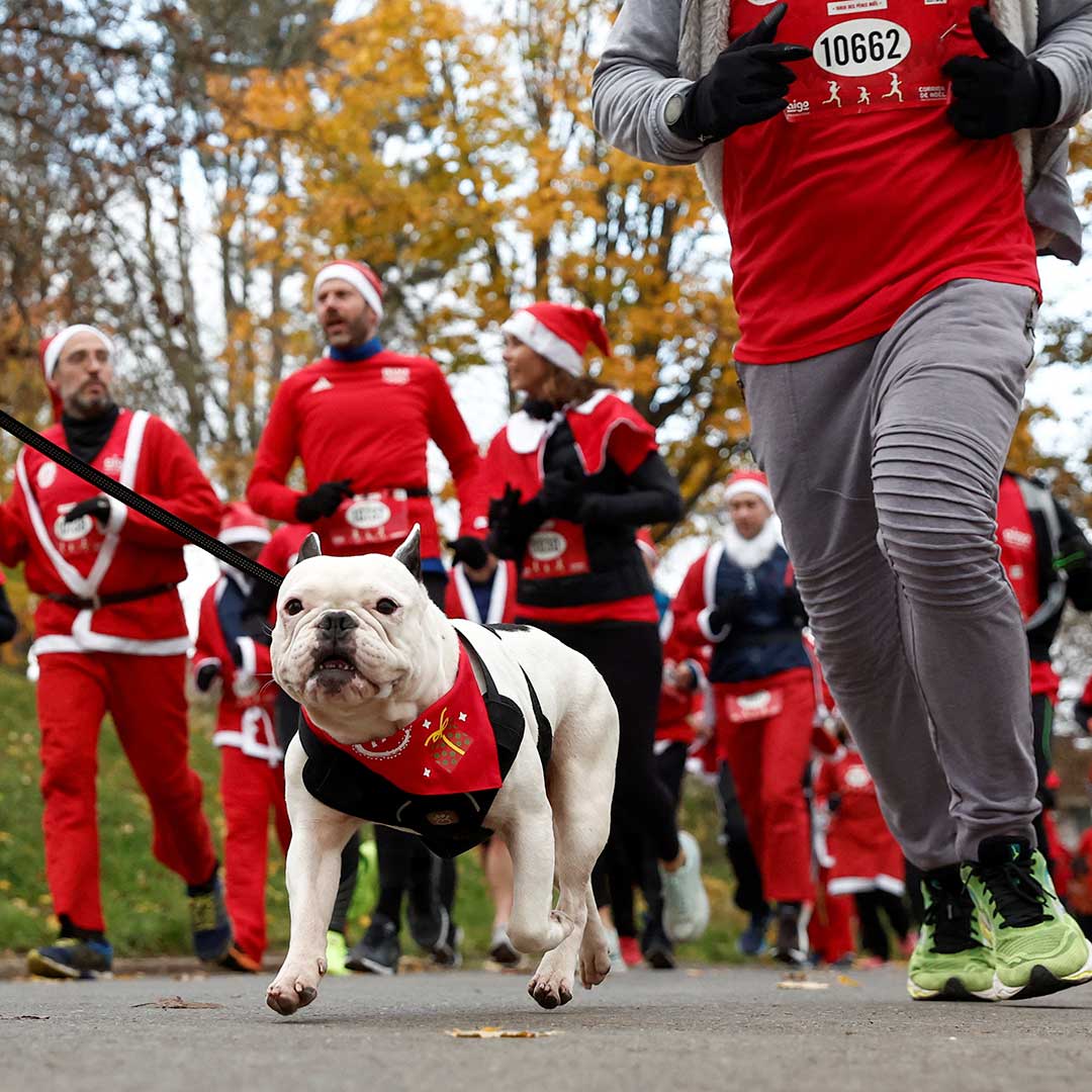 cgtnamerica's tweet photo. Runners in Issy-les-Moulineaux, outside Paris, France got into the holiday spirit by dressing up as Santa Clauses in the annual Christmas Corrida Race. Take a look at all the festivities.
#SantaRace #Christmasspirit #Santaruns #CGTNAmerica https://t.co/kmJ1tPv38x