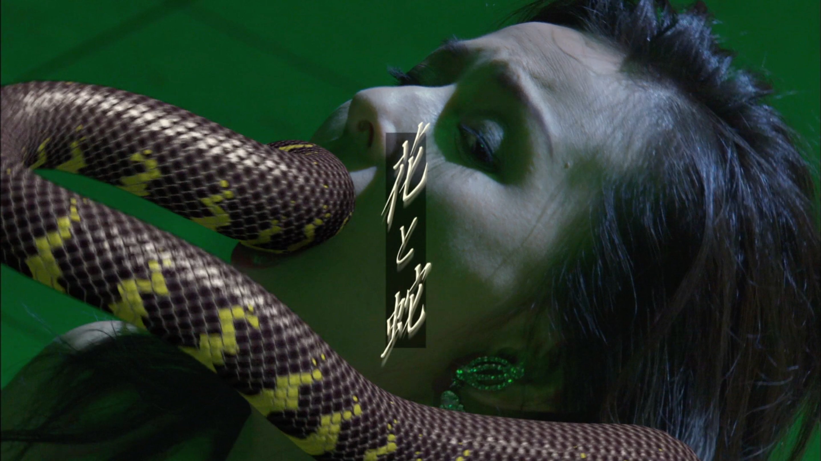Flower and Snake 2004