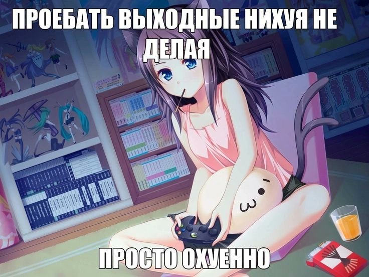 поля фиби (@fibi_twt) on Twitter photo 